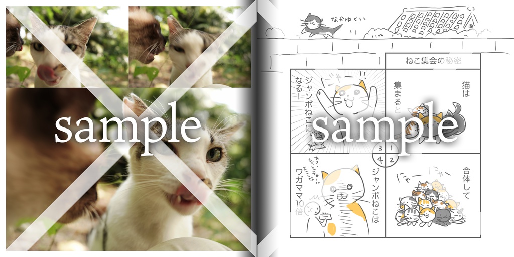 ねこカルタ写真集