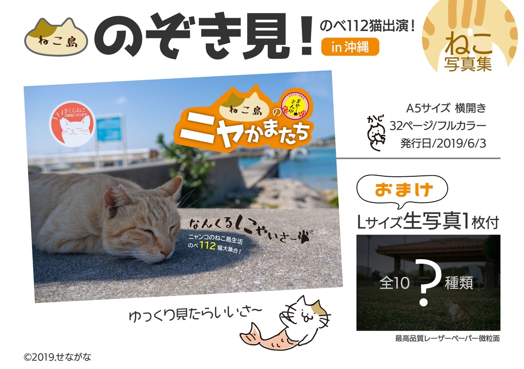 ねこ島のニャかまたち