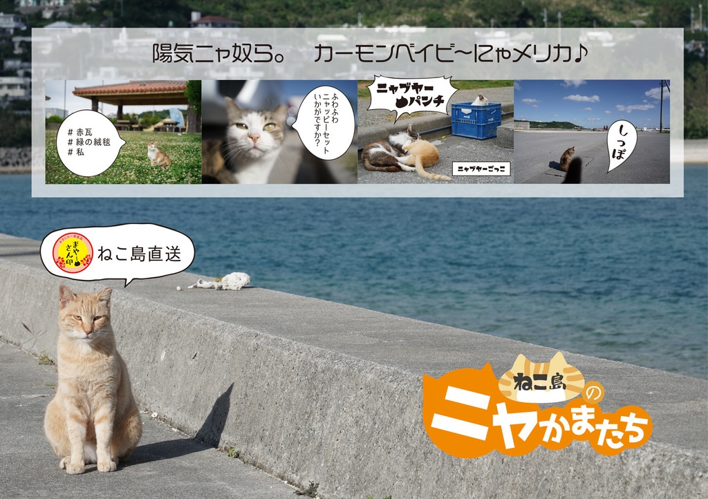 ねこ島のニャかまたち