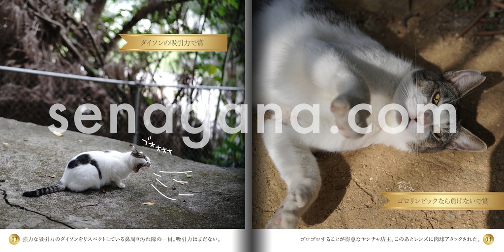 ネコリンピック