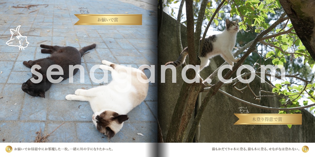 ネコリンピック