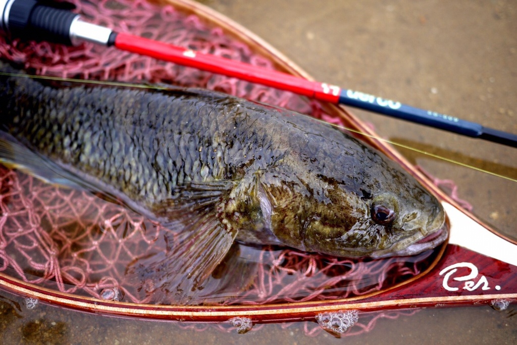 【予約商品】Huerco XT511-5S