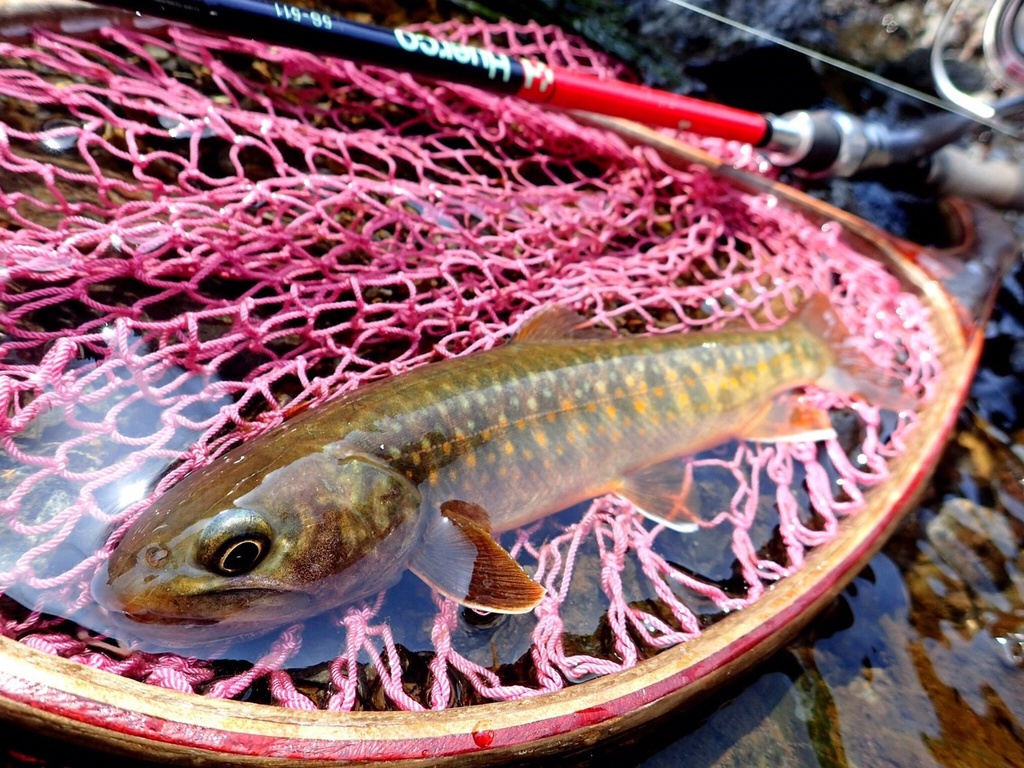 【予約商品】Huerco XT511-5S