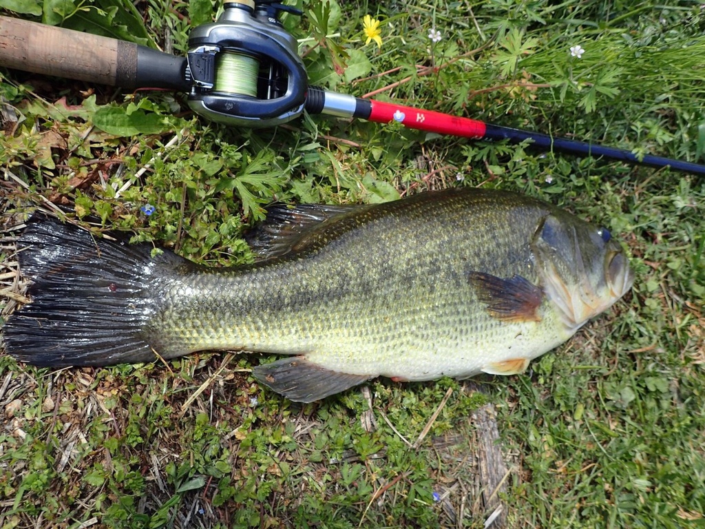 【予約商品】Huerco XT610-4C