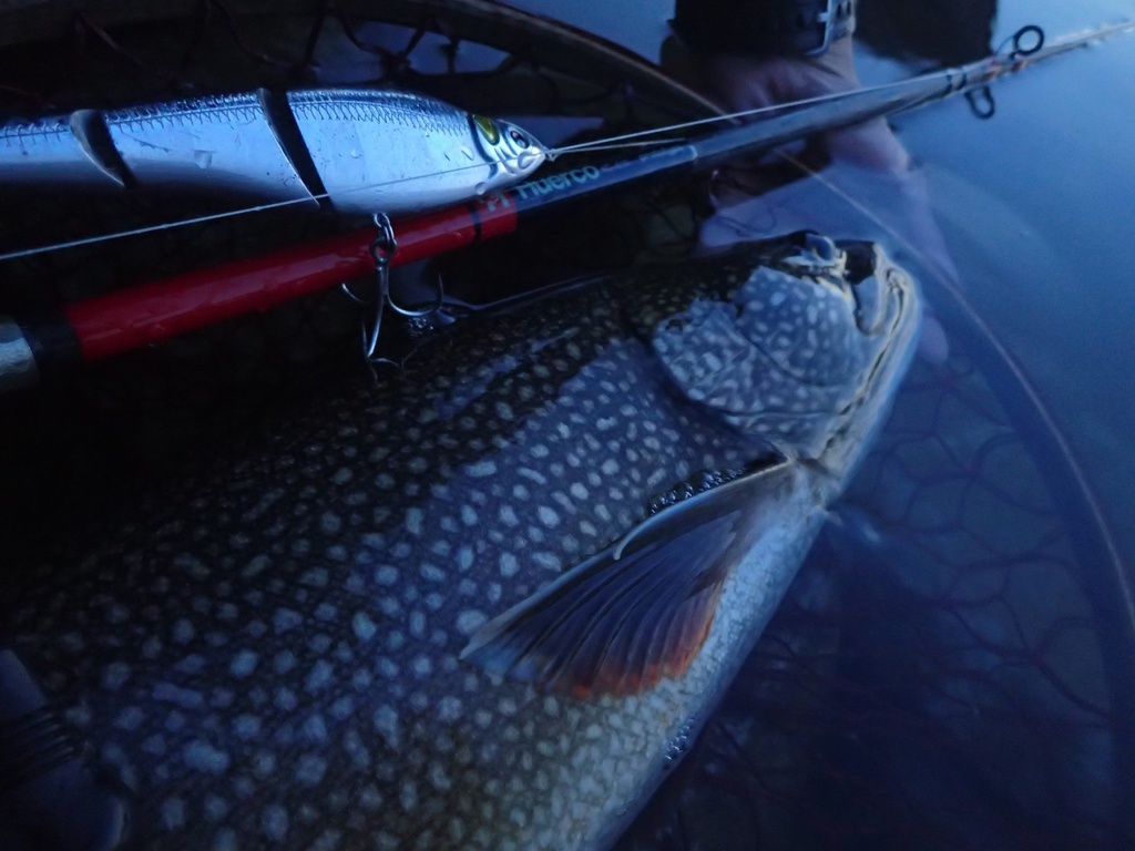 【予約商品】Huerco XT610-4C