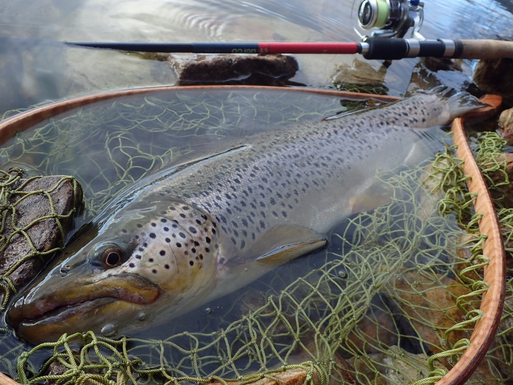 【予約商品】Huerco XT711-5S