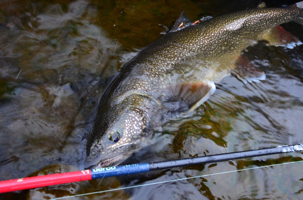 【予約商品】Huerco XT711-5S