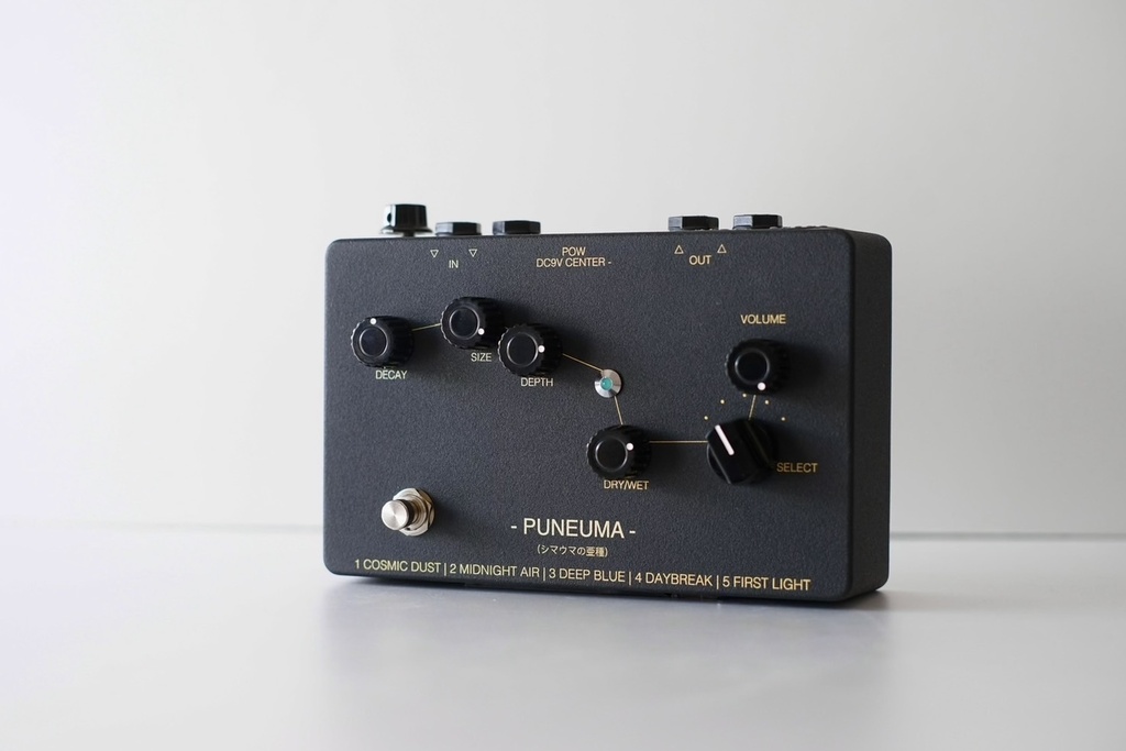 PUNEUMA アンビエンスエフェクター【受注生産】