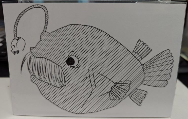 チョウチンアンコウの手描きポストカード