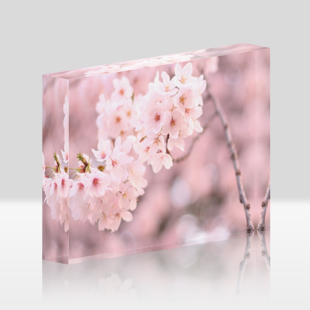 桜のアクリルブロック