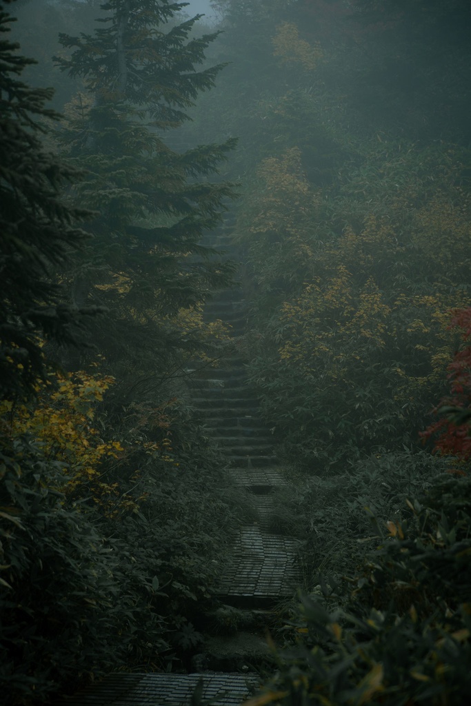 霧