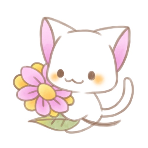 お花と白猫さん。