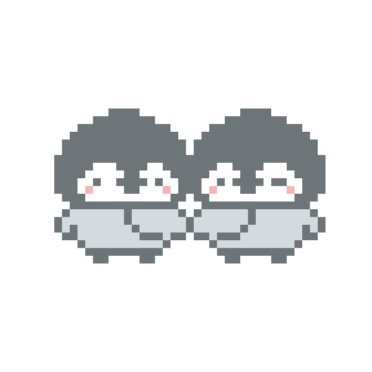 双子のぺんぎんさんセット。