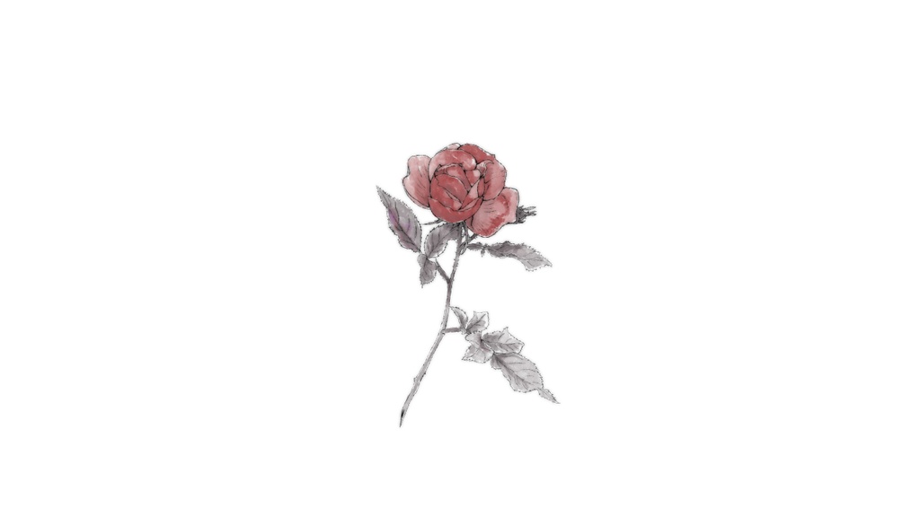 薔薇(印刷用)