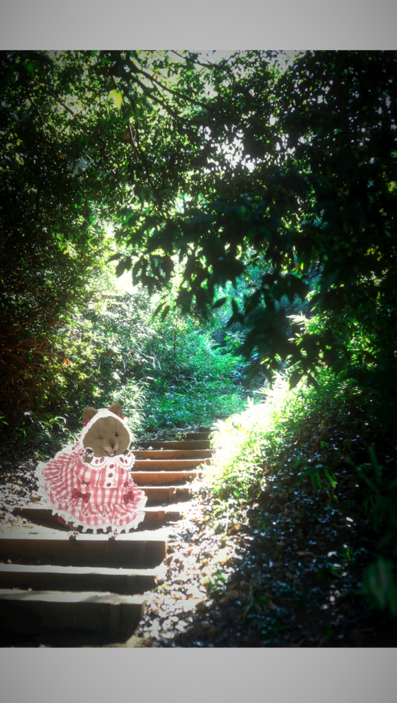 いちごのガーリーワンピース🍓【クアッカワラビーちゃん】