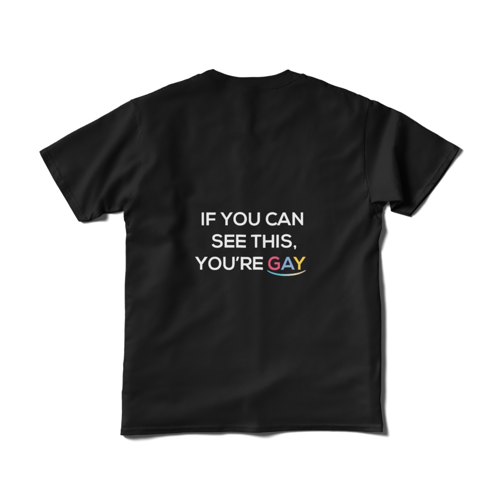 You're gay if you can see this