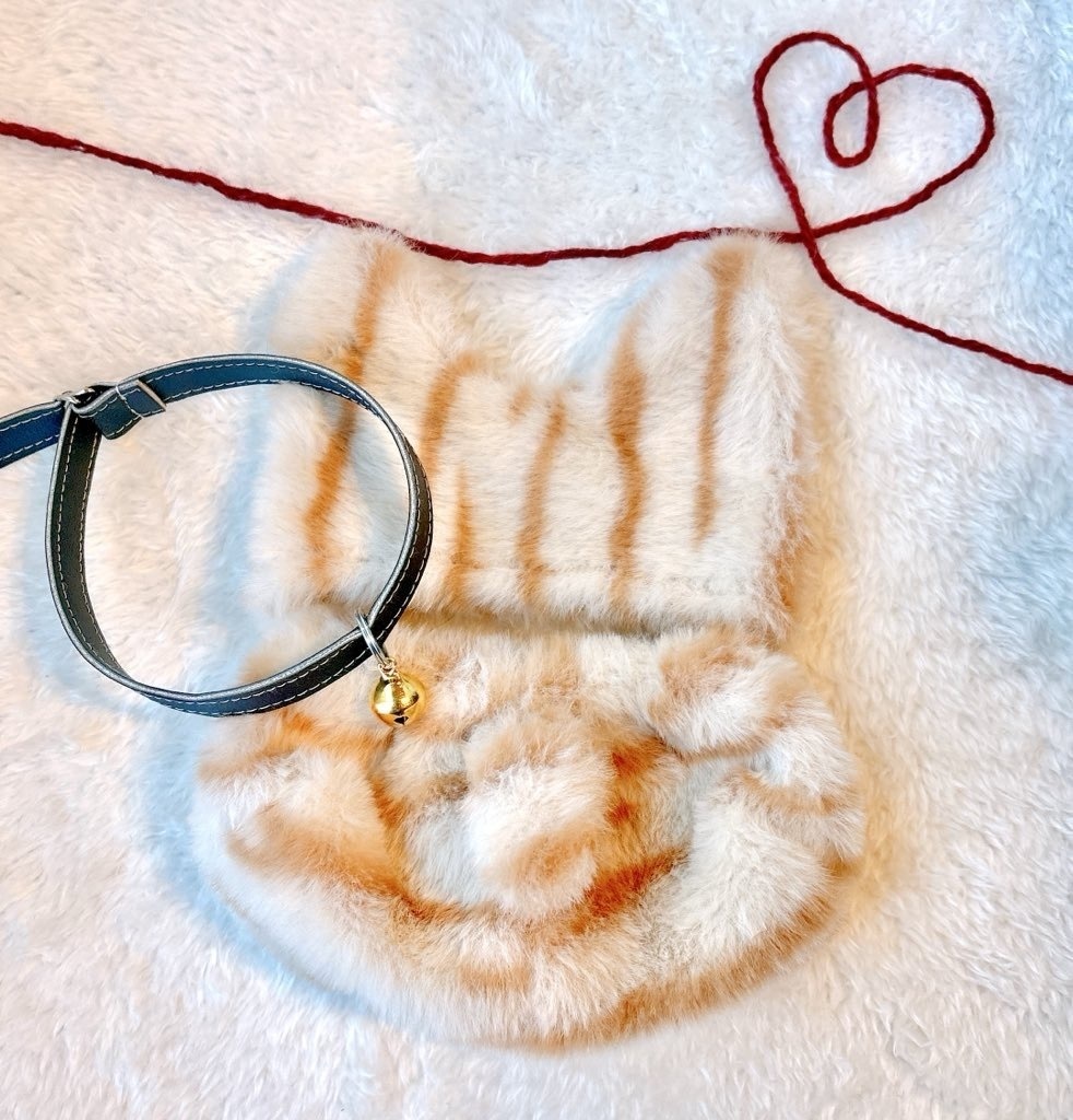 もこもこセットアップ ネコちゃんコスチューム🐈🐾チャイ