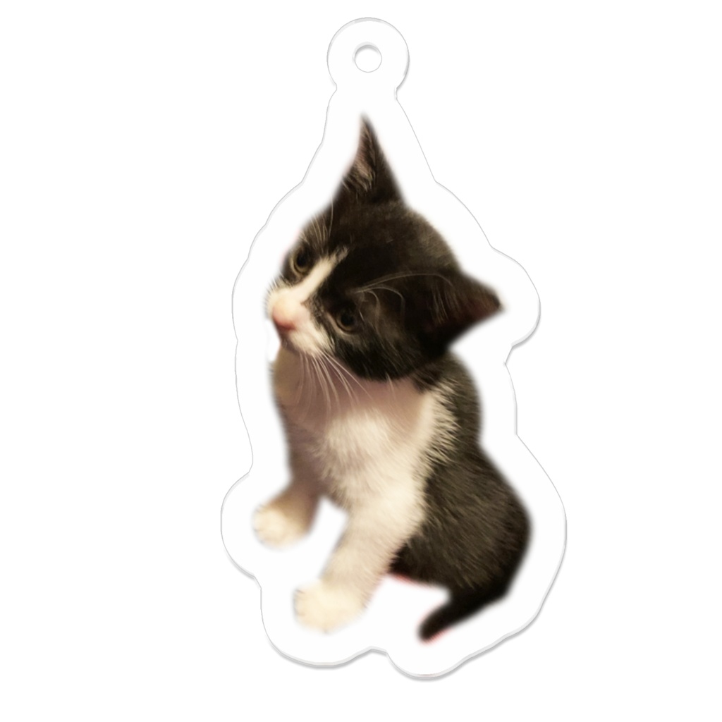 ぷく家のハチワレのはち【5センチのアクリルキーホルダー】