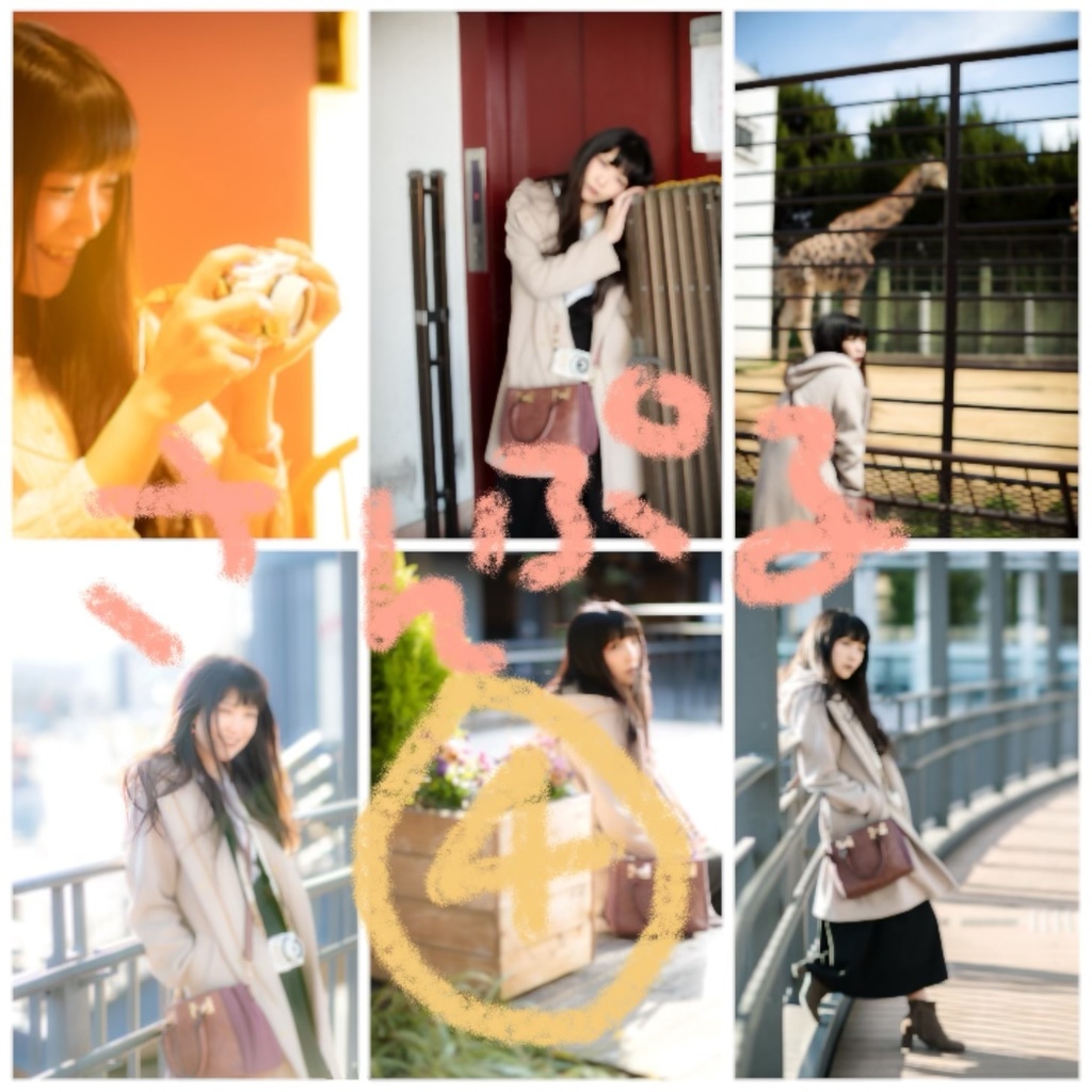 いろいろポトレ写真セット【データ版】