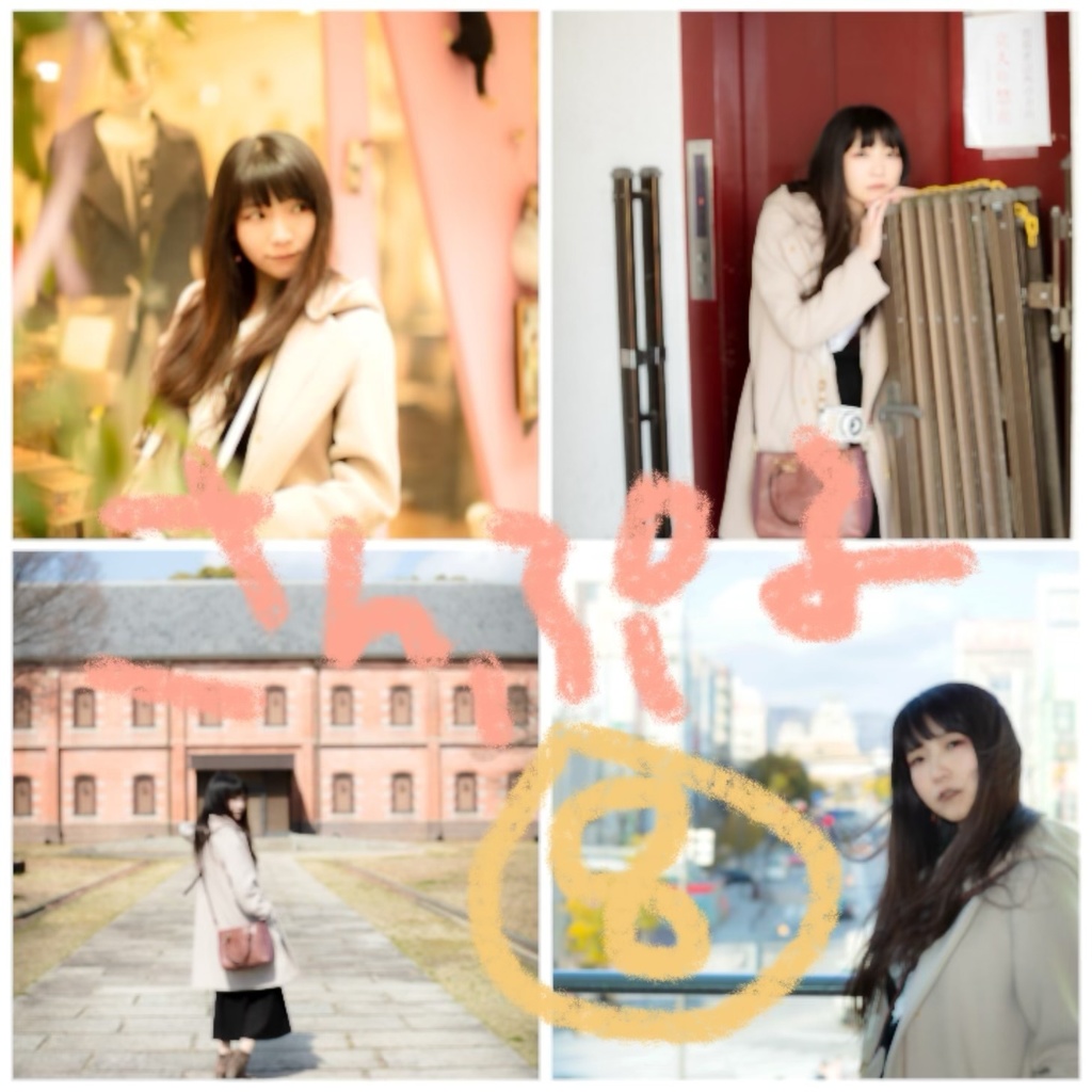 いろいろポトレ写真セット【データ版】