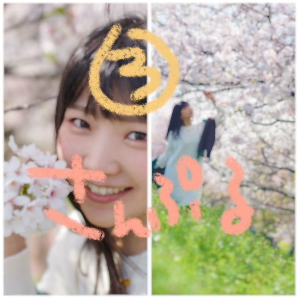 いろいろポトレ写真セット【データ版】