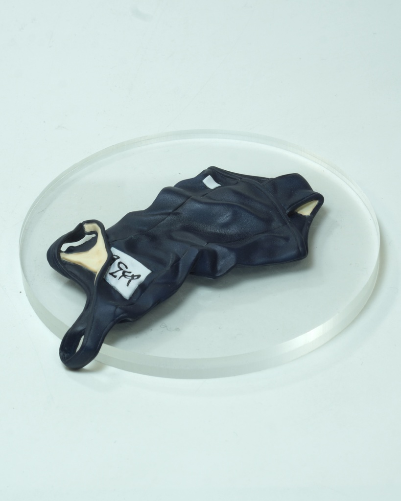 脱いだスク水のフィギュア 〜脱いどるストッパー〜