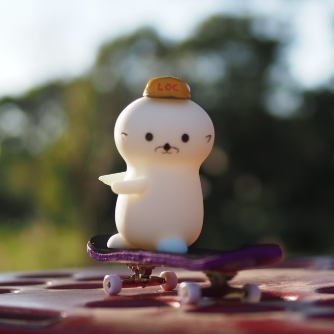 スケボーねっむ