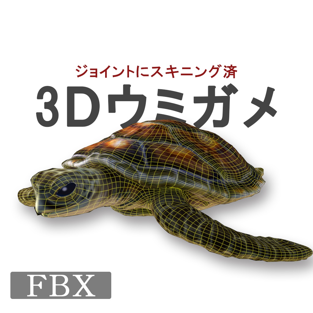 3Dmodel ウミガメ