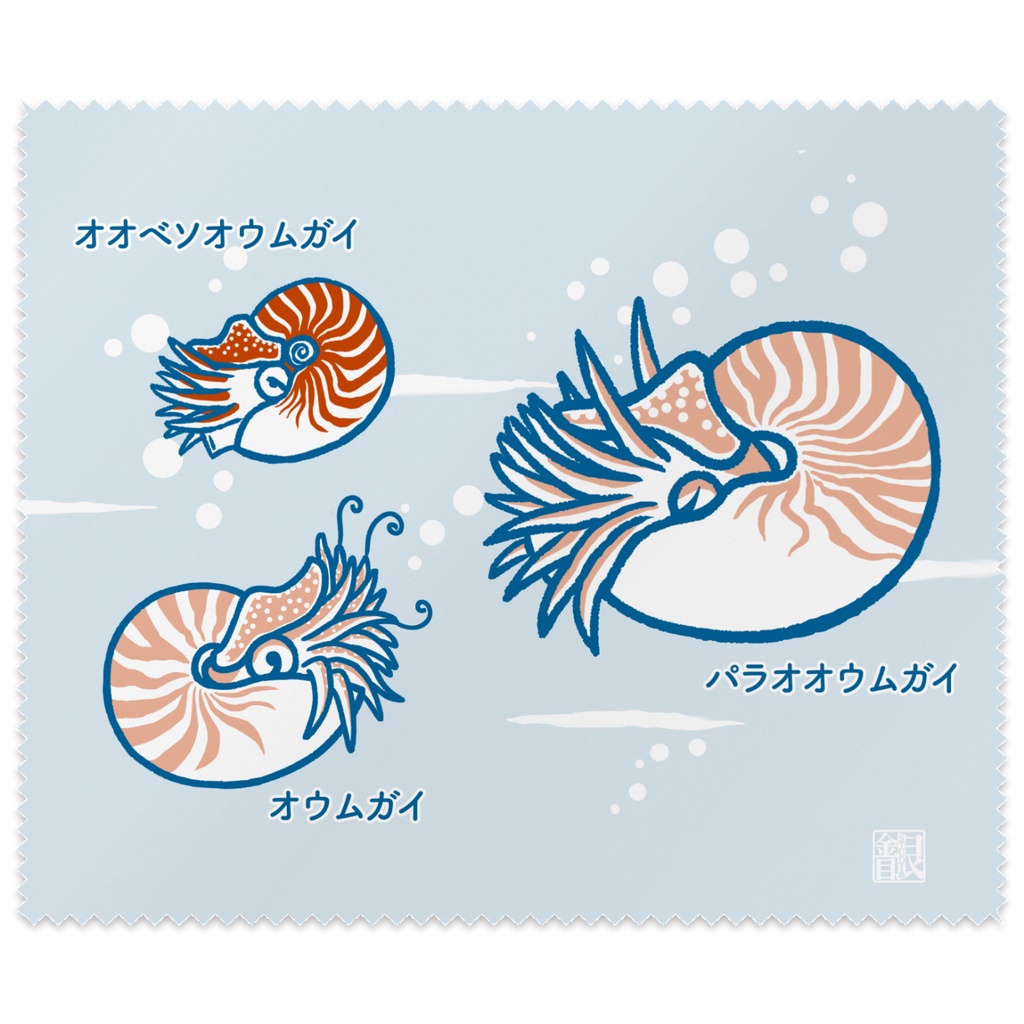 オウムガイメガネ拭き