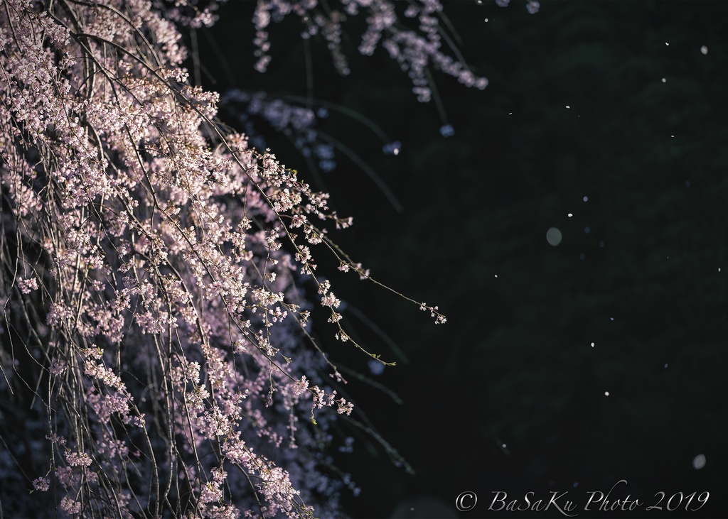 Late Spring