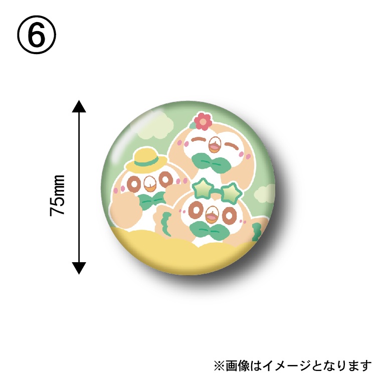 【非公式】ポケモン キラキラ・ホログラム プラスチックバッジ