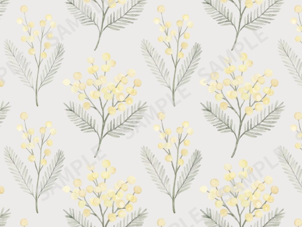 ミモザの手描き風 素材 5枚セット02