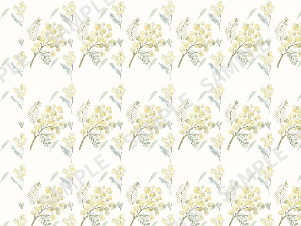 ミモザの水彩イラスト素材 5枚セット