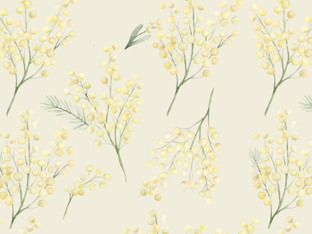 ミモザの手書き風素材 5枚セット04