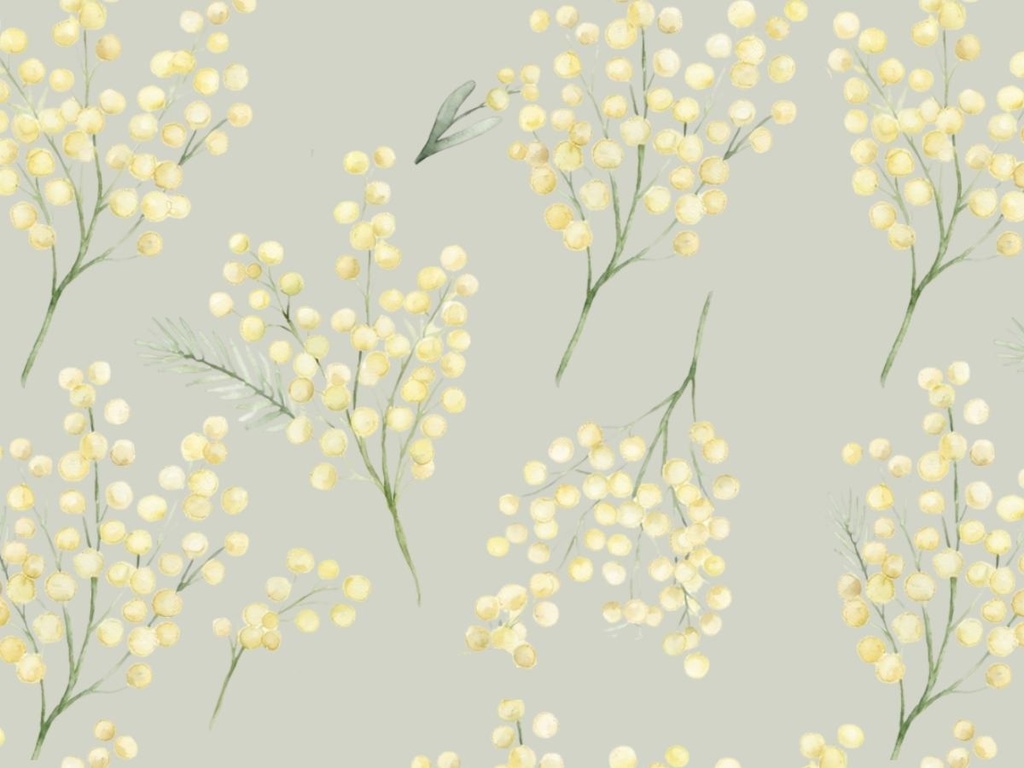 ミモザの手書き風素材 5枚セット04