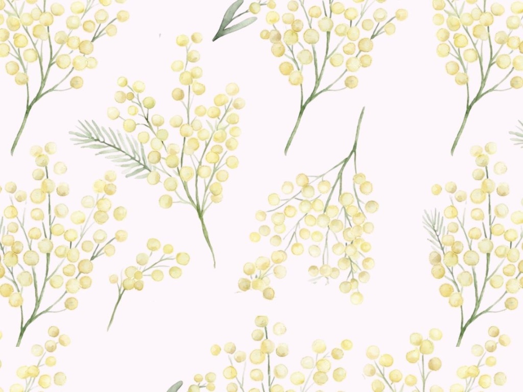 ミモザの手書き風素材 5枚セット04