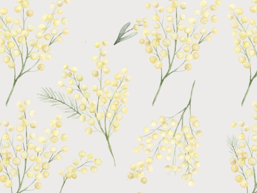 ミモザの手書き風素材 5枚セット04