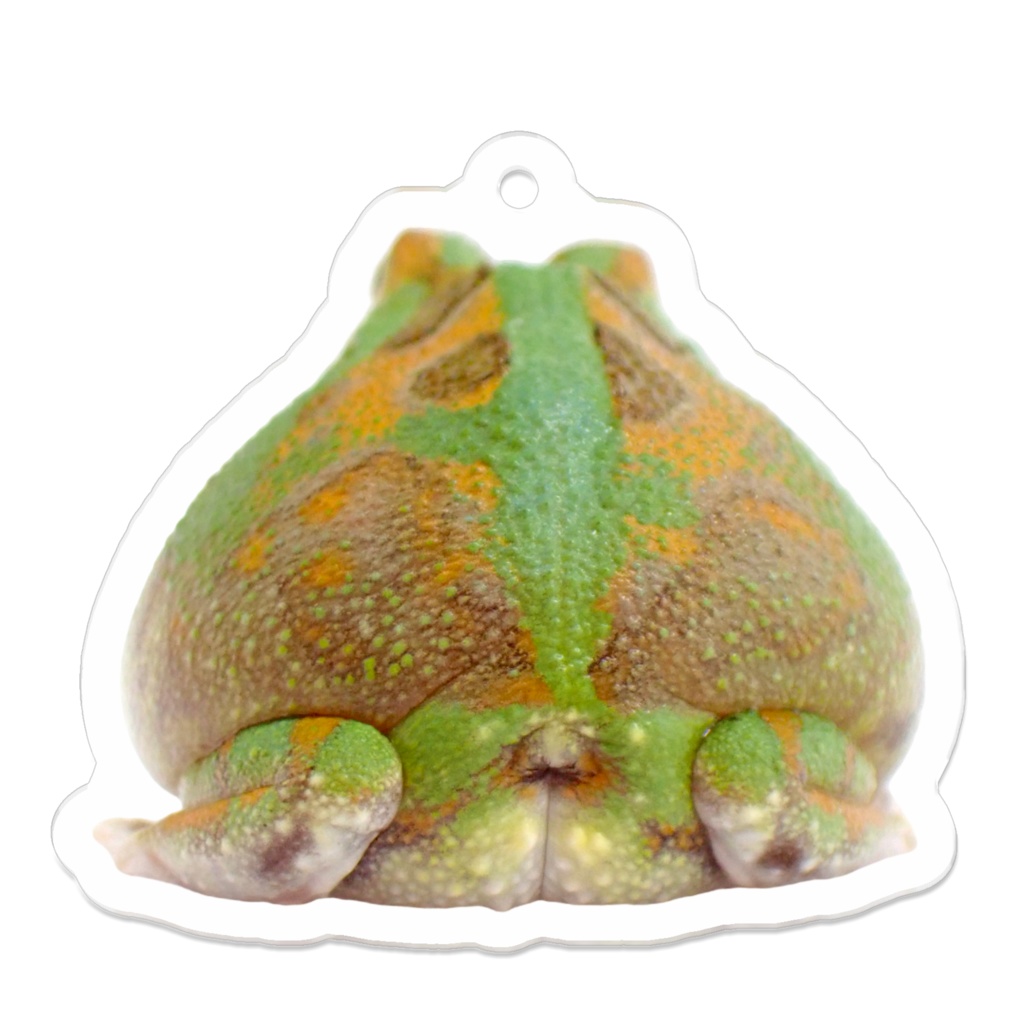 チャコガエルのプリケツ アクリルキーホルダー