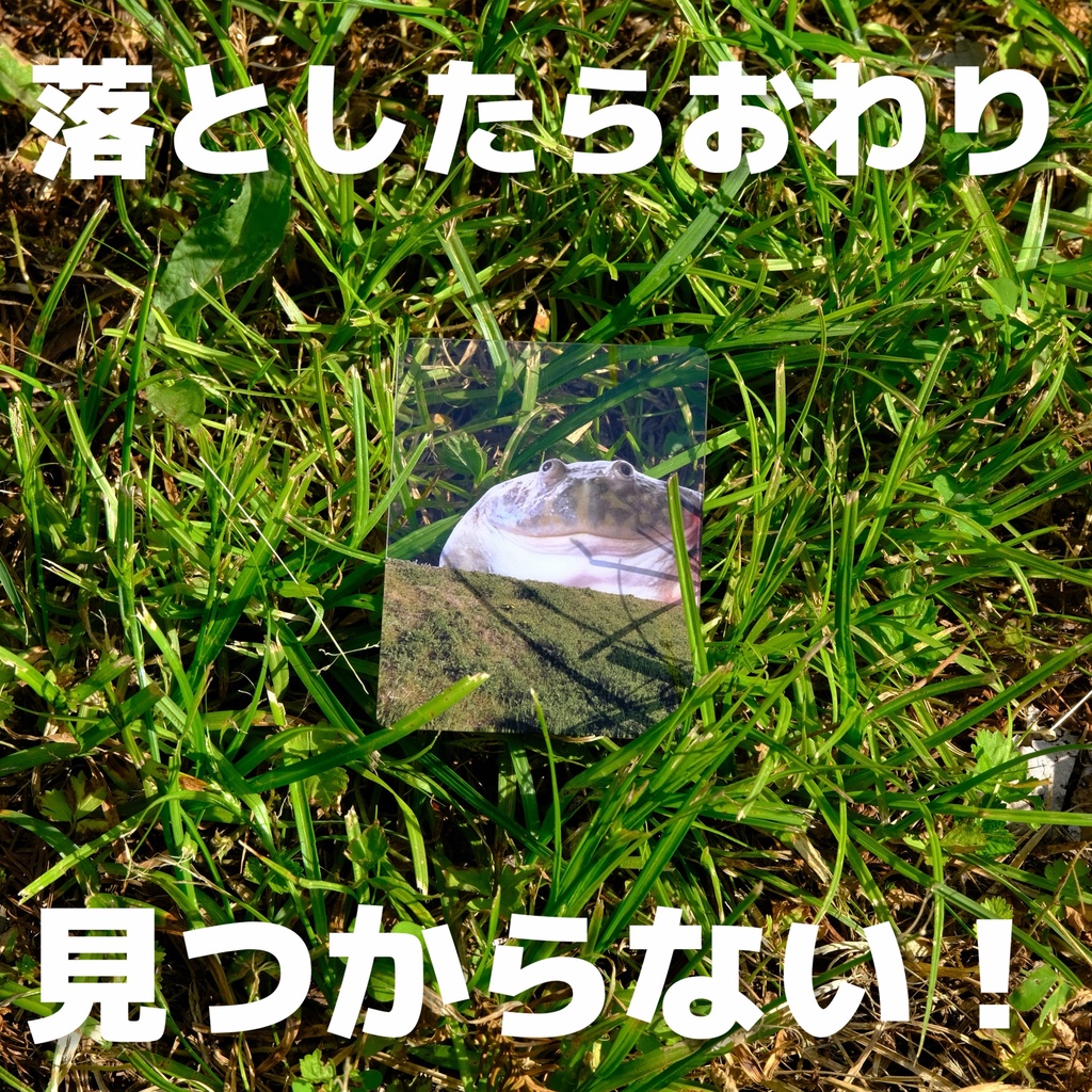 でっかいカエルといっしょ クリアカード