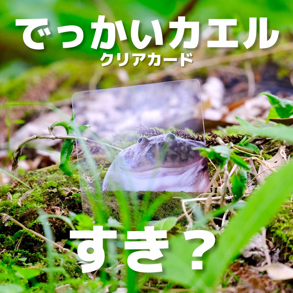 でっかいカエルといっしょ クリアカード