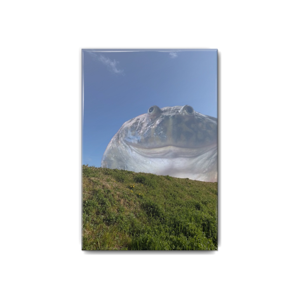 でっかいカエル 缶バッジ54x80mm