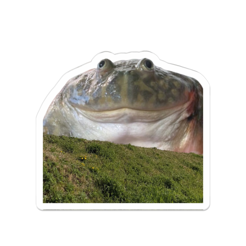 でっかいカエル アクリルバッジ