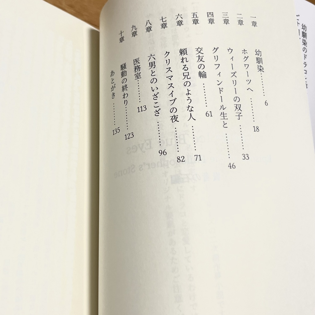 ドラコ落ち原作沿い夢小説 Gentle Ice Blue Eyes①賢者の石編 Web再録(夢主名前固定)