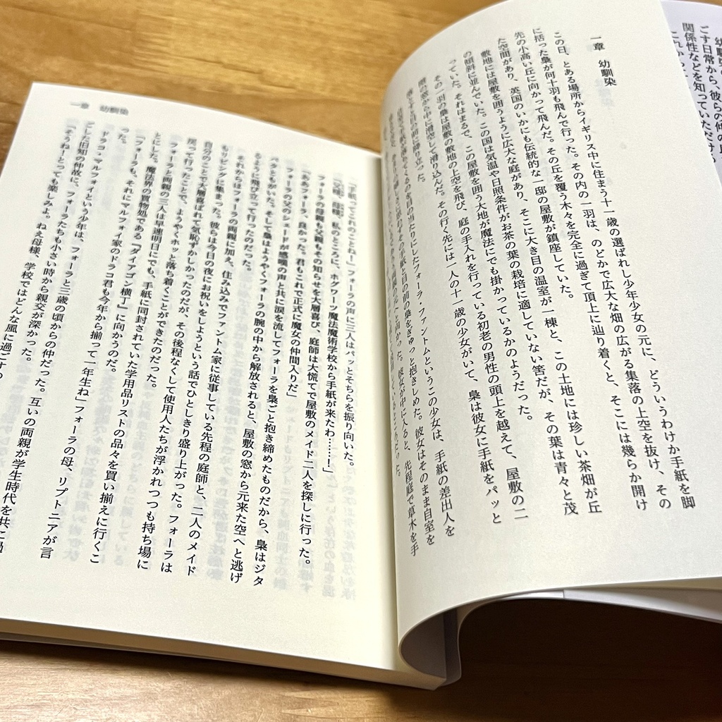 ドラコ落ち原作沿い夢小説 Gentle Ice Blue Eyes①賢者の石編 Web再録(夢主名前固定)