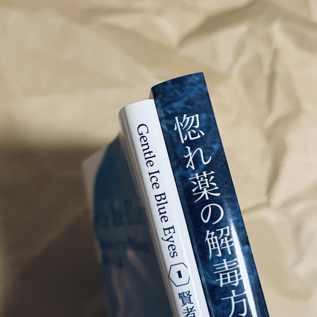 ドラコ落ち原作沿い夢小説 Gentle Ice Blue Eyes①賢者の石編 Web再録(夢主名前固定)