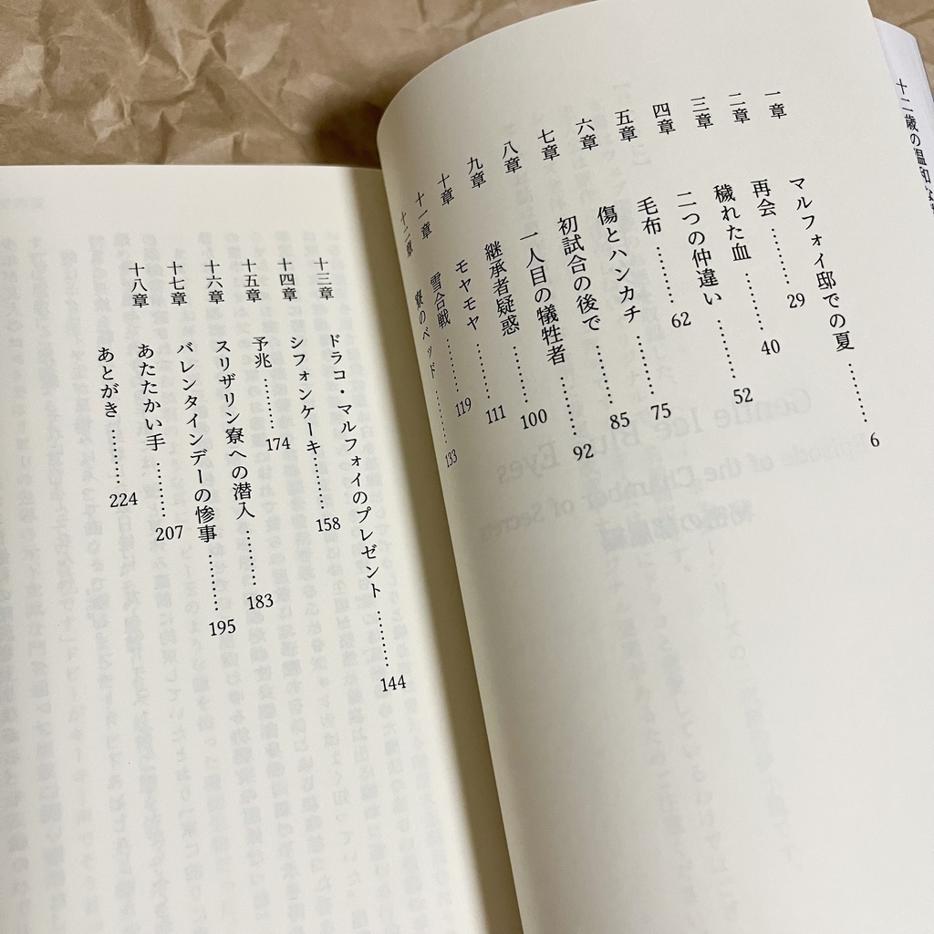 ドラコ落ち原作沿い夢小説 Gentle Ice Blue Eyes②秘密の部屋編 Web再録(夢主名前固定)