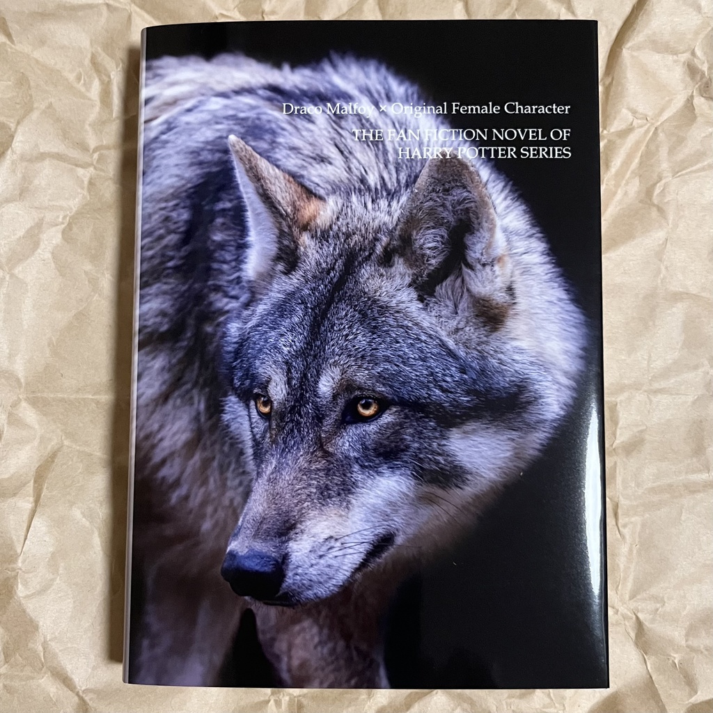 ドラコ落ち原作沿い夢小説 Gentle Ice Blue Eyes③アズカバンの囚人編 Web再録(夢主名前固定)