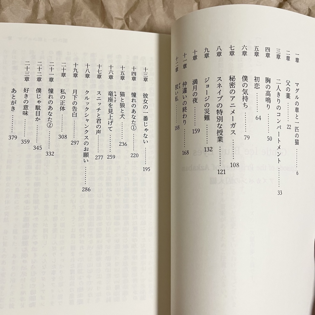 ドラコ落ち原作沿い夢小説 Gentle Ice Blue Eyes③アズカバンの囚人編 Web再録(夢主名前固定)