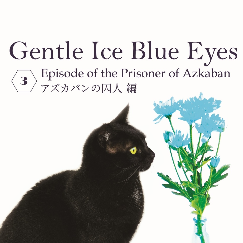 ドラコ落ち原作沿い夢小説 Gentle Ice Blue Eyes③アズカバンの囚人編 Web再録(夢主名前固定)