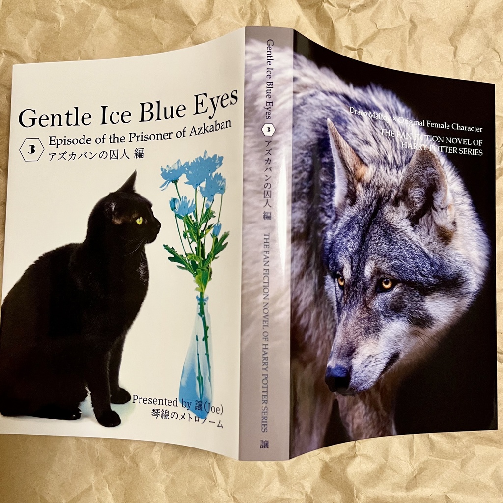 ドラコ落ち原作沿い夢小説 Gentle Ice Blue Eyes③アズカバンの囚人編 Web再録(夢主名前固定)